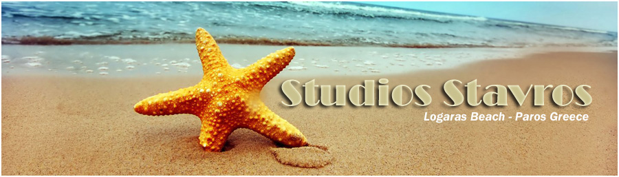 Studio Stavros - Logaras Paros